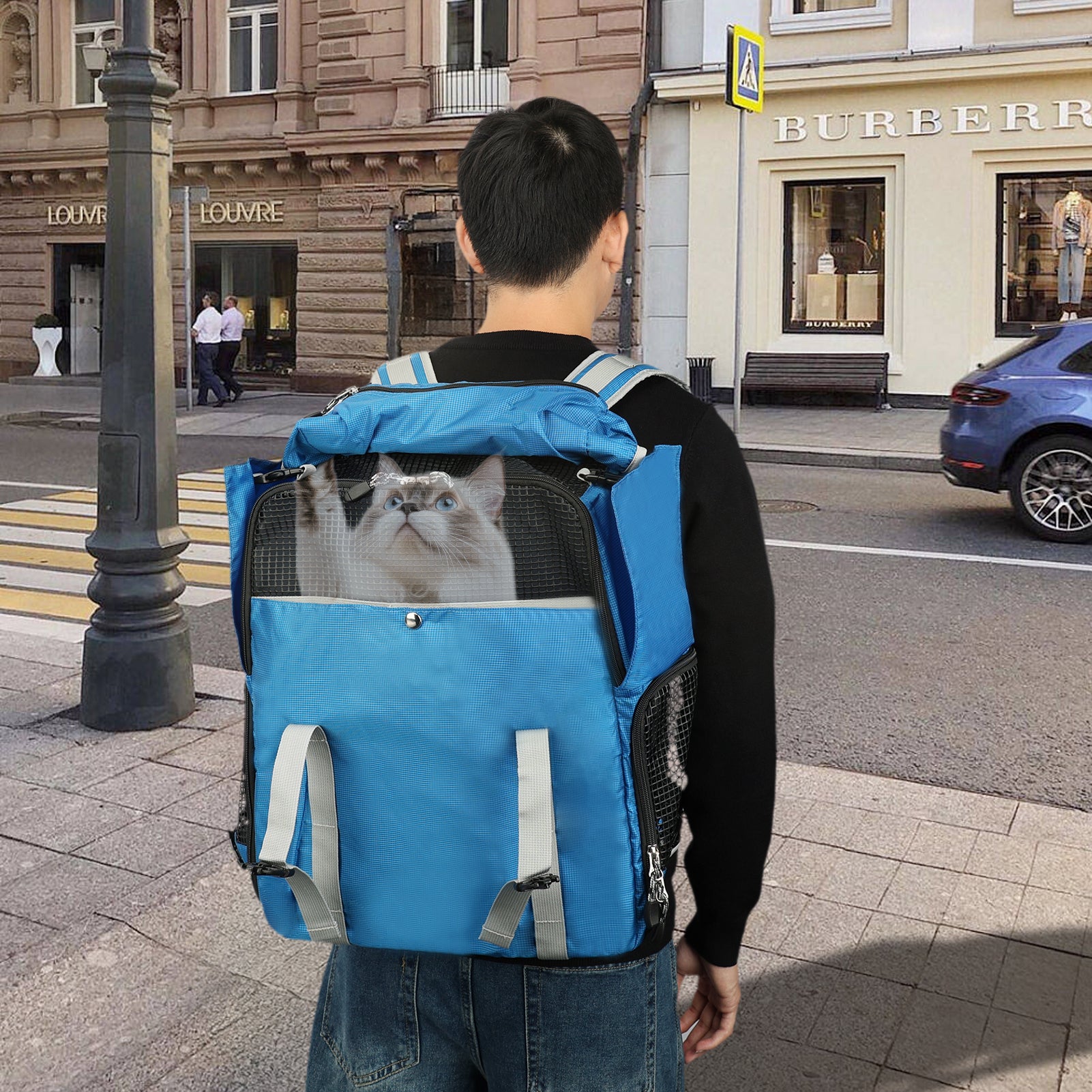 Person carrying a blue backpack with a cat inside, walking on a city street.
