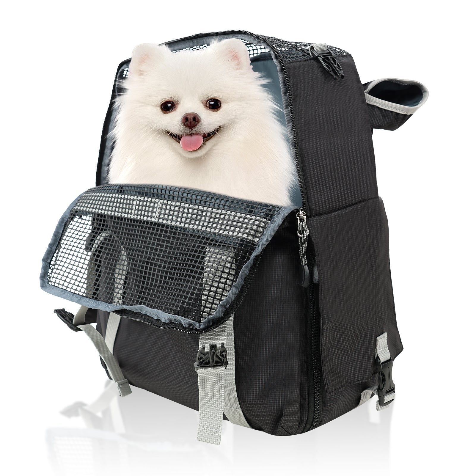 White dog in a black pet carrier on a white background
