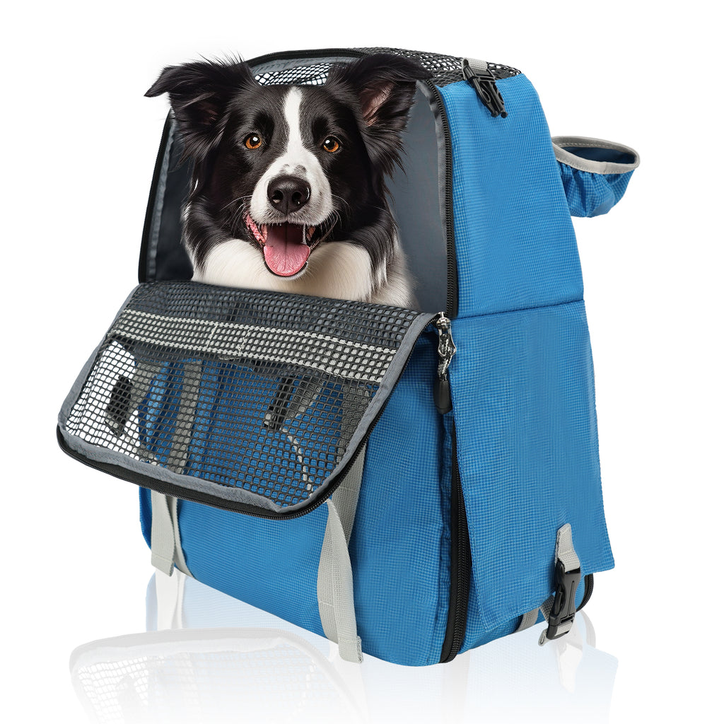 Dog in a blue pet carrier with a white background