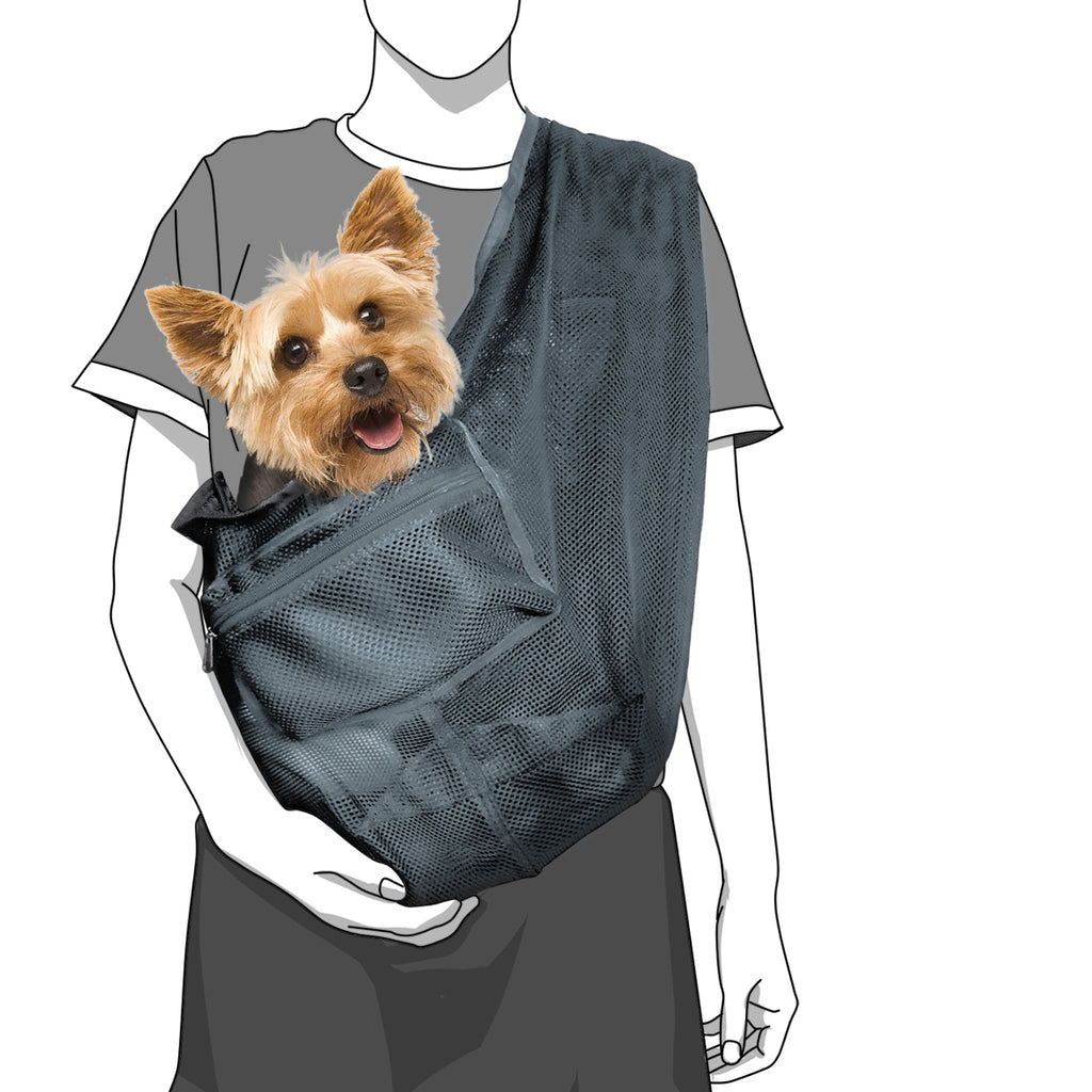 Person wearing a gray pet carrier with a small dog inside on a white background