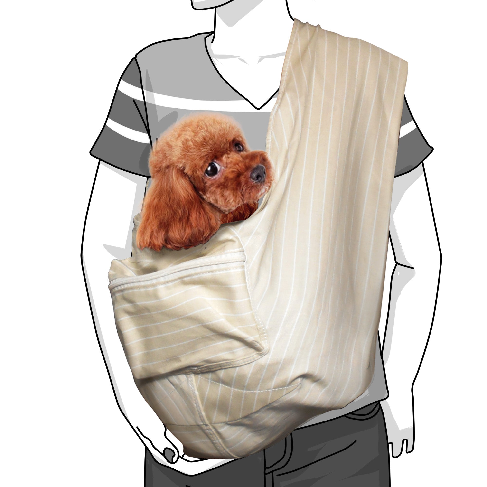 Person wearing a beige pet sling with a small brown dog inside on a white background