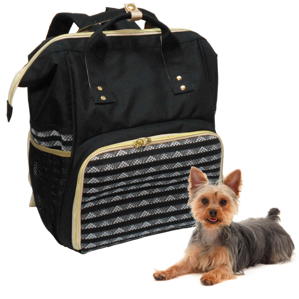 Black and gold pet carrier with a small dog lying next to it on a white background