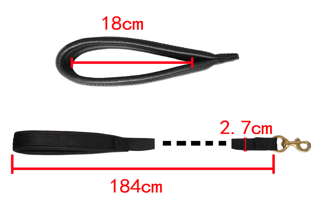 Dog Leash Leather Padded Handle Puppy Walking Nylon Lead Solid Brass Snap Hook